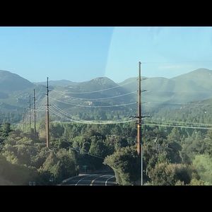 Meet your Posher, Lily